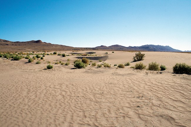 lt= Ripples in a sandy desert with sparse rocks and plants.