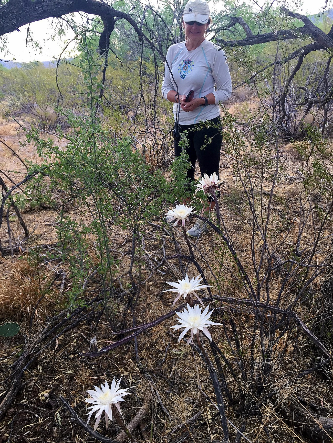 A woman in a ball cap looks at several white flowers in an arid landscape