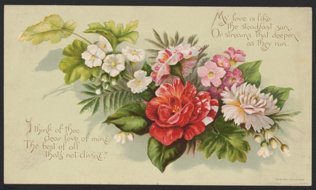 A card with an illustration of roses.