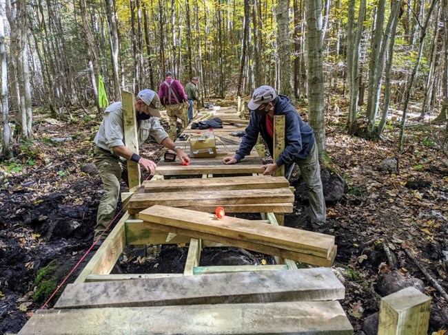 A team of people works on a boardwalk under a forest.