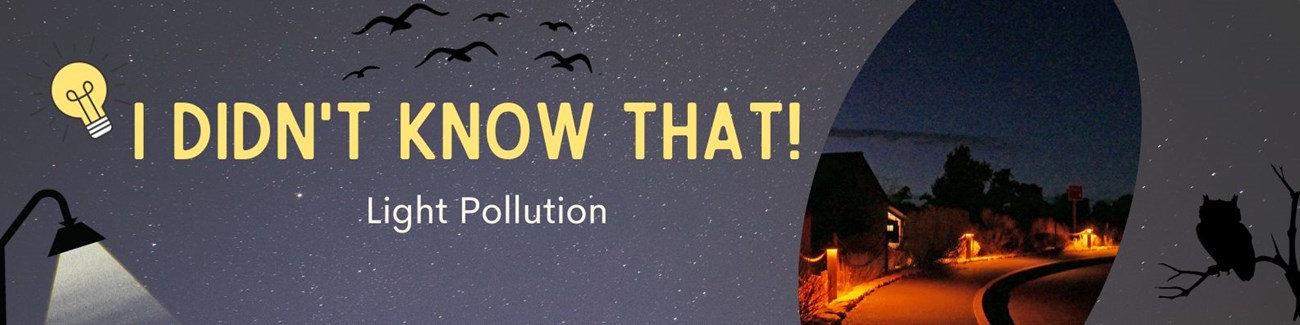 IDKT! Article Banner Title banner with text: I Didn't Know That! Light Pollution