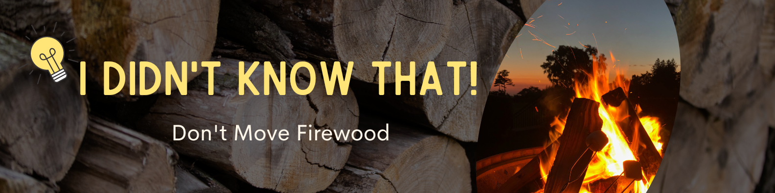 I Didn't Know That!: Don't Move Firewood (U.S. National Park Service)