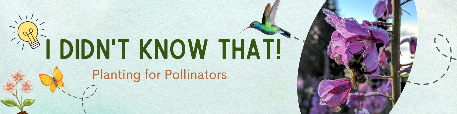 title banner with photo of bee on flower and text "I Didn't Know That! Planting for Pollinators"