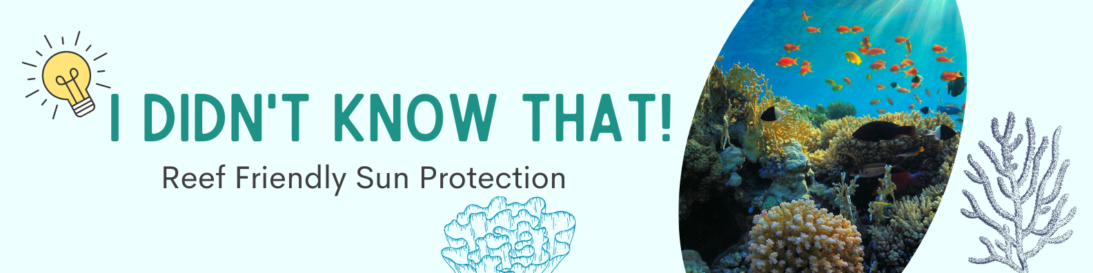 IDKT! Article Banner Sunscreen Title banner for "I Didn't Know That! Reef-Friendly Sun Protection" with light bulb and images of coral