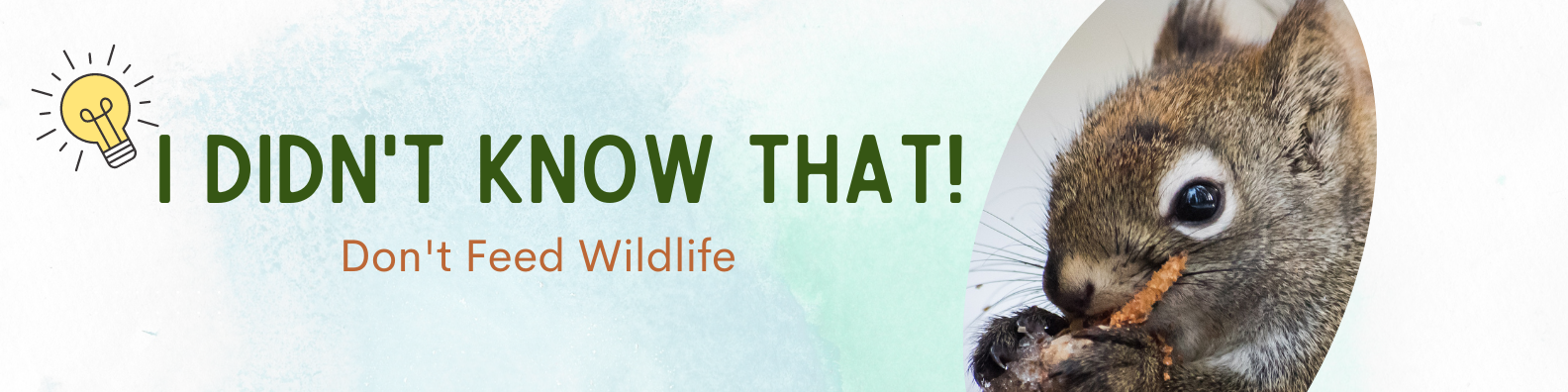 IDKT! Article Banner Banner reads: I Didn't Know That! Don't Feed Wildlife