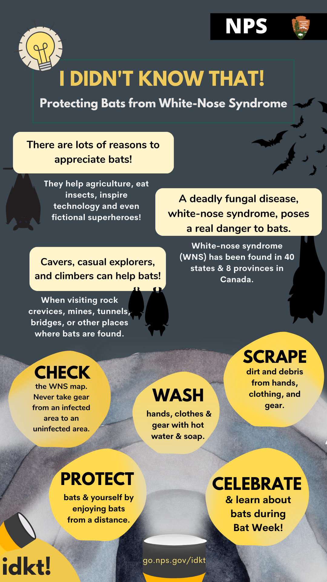 IDKT! White Nose Syndrome An inforgraphic titled: I Didn't Know That: Protecting Bats from White-Nose Syndrome (full alt text available below infographic)