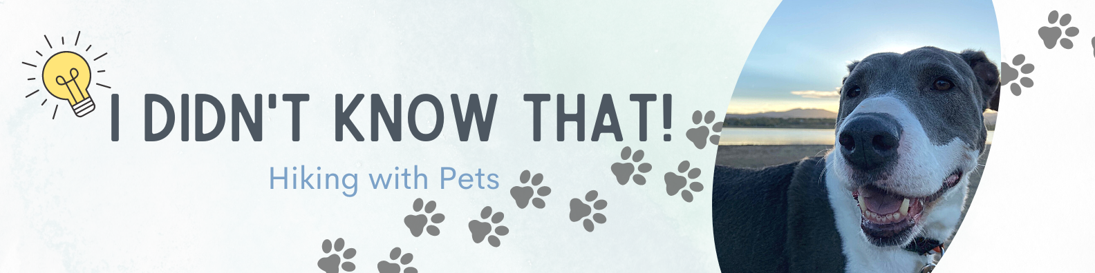 IDKT! Hiking with Pets I Didn't Know That! Hiking with Pets