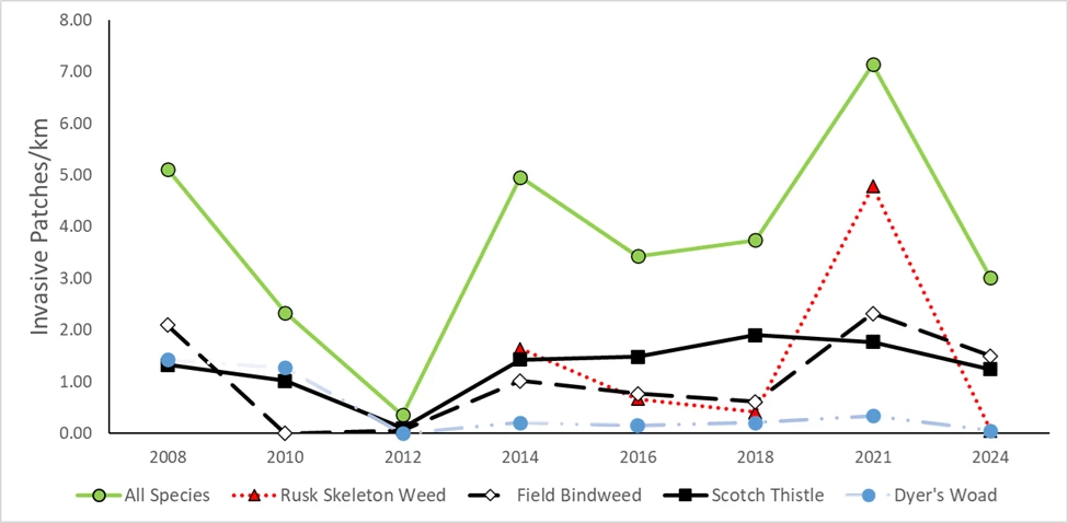 This graph shows long-term monitoring trends for invasive exotic plants at Golden Spike, with infestations peaking in 2021 and declining by 2024. Line graph shows invasive plant detections per km peaking in 2021 then declining in 2024.