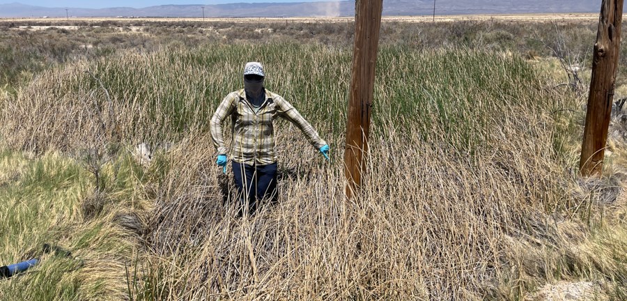 Garton Pond Person standing next to two wooden posts on the edge of a pond that is barely visible beneath a dense stand of grasses in a flat landscape of shrubs and grasses.