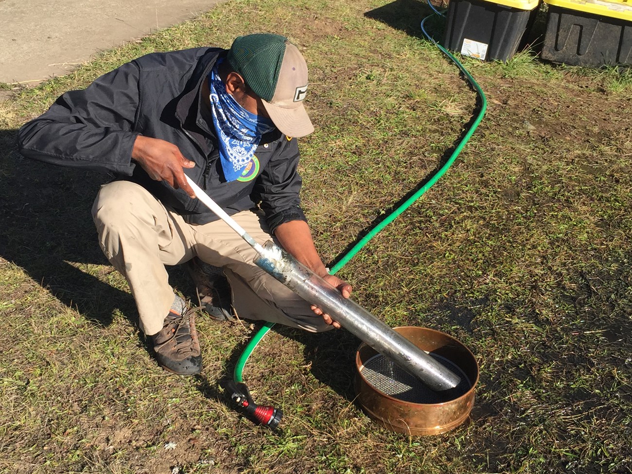 Processing a sediment core Person kneeling on the ground, holding a tube full of dark sediments over a mesh sieve.