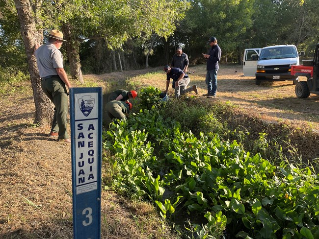 Staff from the National Park Service, Texas Conservation Corp and San Antonio River Authority work together around a historic irrigation ditch or acequia.