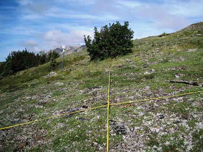 IMG_0075_Healy_S_1100_web A vegetation data logger in a boreal setting.