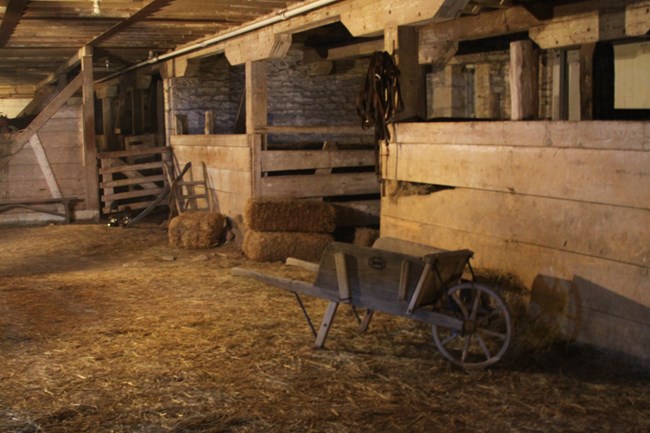 Stalls downstairs in barn showing hay and wheelbarrow.