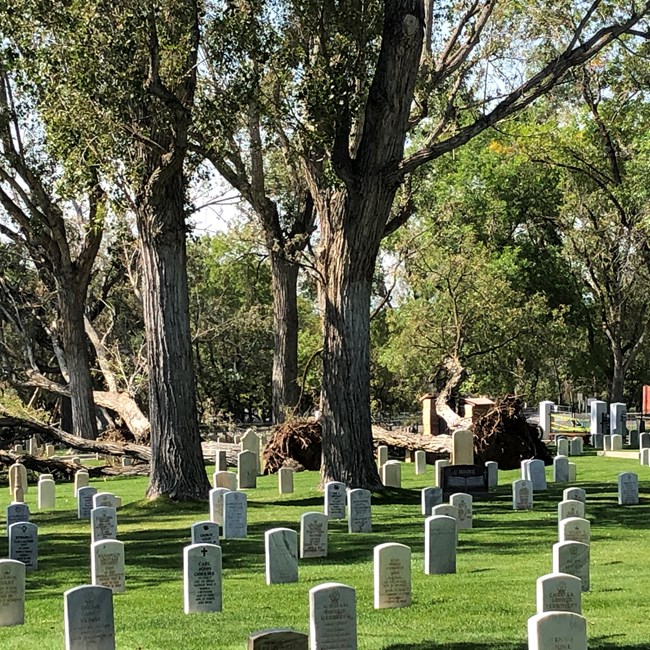 A green grass cemetery with granite headstones.