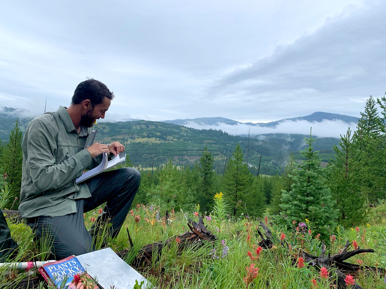 A man looks at a notebook as he crouches in a field of colorful wildflowers in front of a forest. Mountains are in the distance.