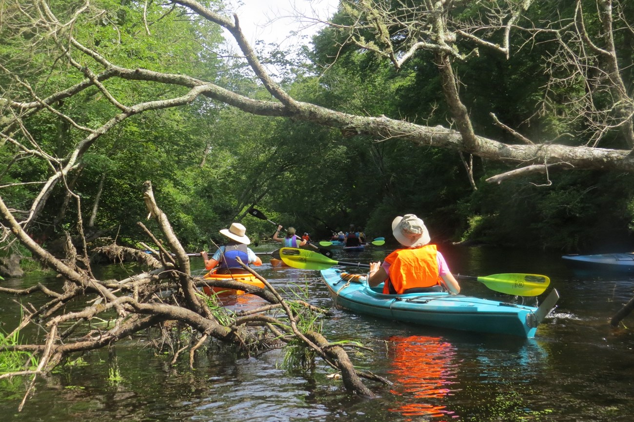 Paddling on the Pawcatuck Wild and Scenic River.  Photo by Bill McCusker.