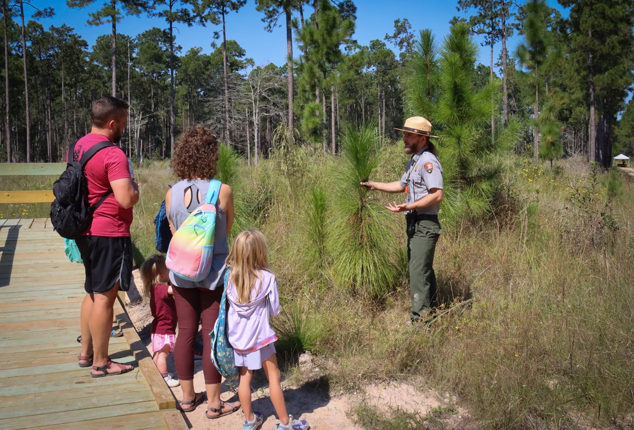 Ranger Max a park ranger stands next to very young pine trees while talking to a mother, father, and small children.
