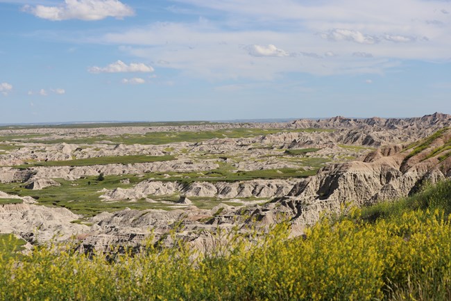 badlands canyons descend into green grasses and sod tables.