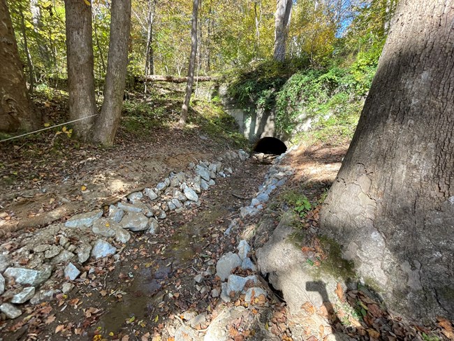 A small stream lined with stones trickles out from a culvert