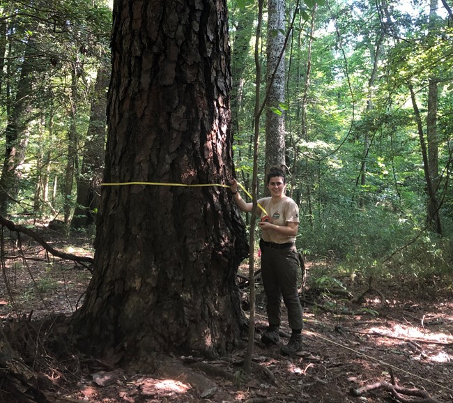 Woman stands next to a large tree