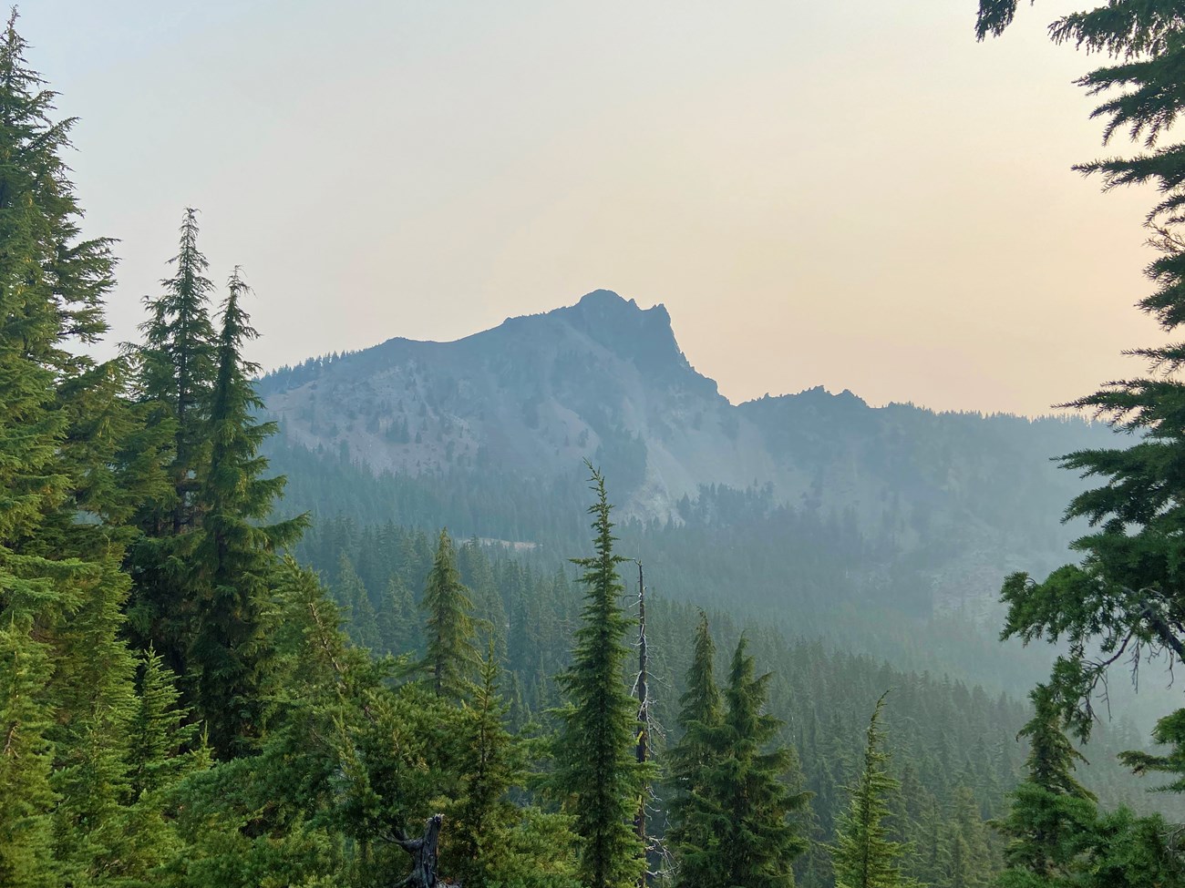 Thick haze View of a peak shrouded in a thick haze, framed by surrounding conifers.