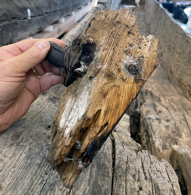 Piece of wood that fell off canoe Piece of wood that fell off canoe