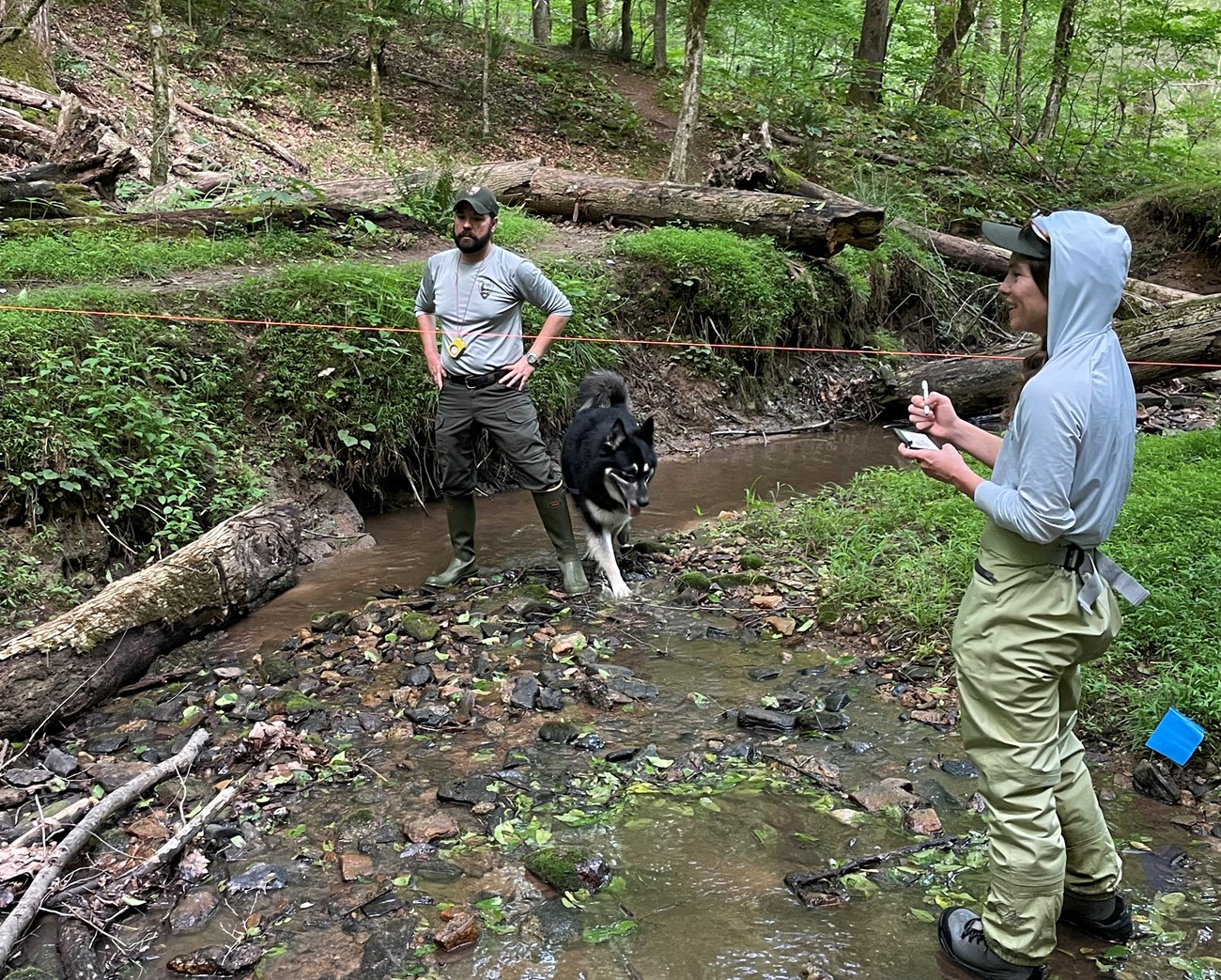 Wadeable stream monitoring at CHAT Man and woman standing in a stream with a large black dog walking by the man