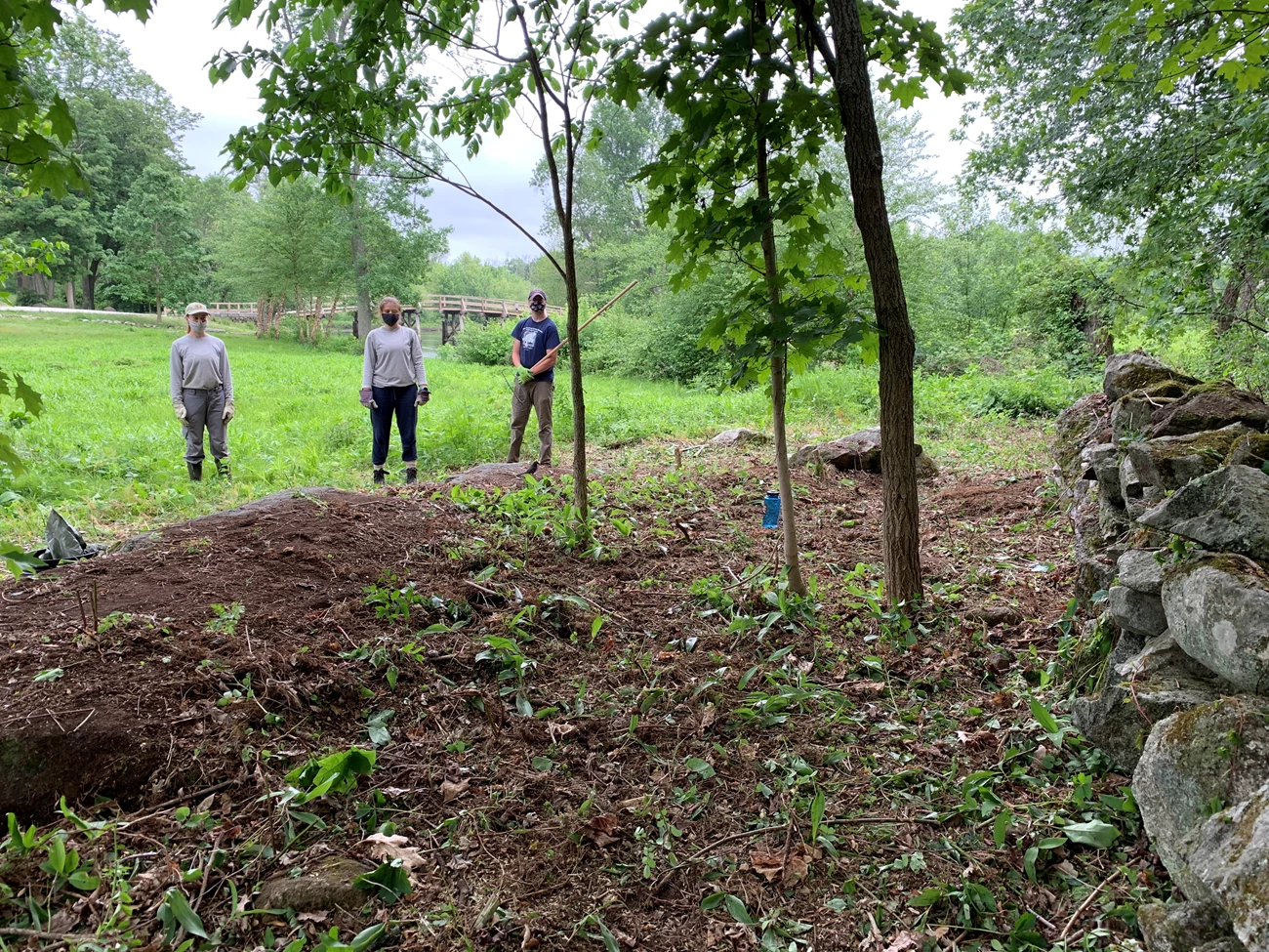 Removing invasive plants from a stone wall Three workers, two women and a man, stand apart from a stone wall and from each other. They are wearing cloth face masks. Behind them is a grassy field bordered by forest. A bridge is in the distance.