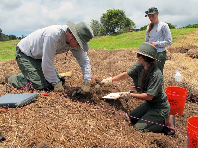 National Park Service employees kneel in dirt, excavating stone walls with brush and dustpan