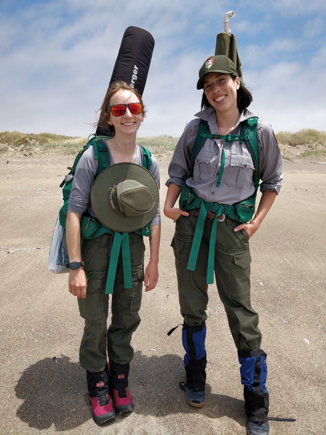Two people carrying backpacks overflowing with plant monitoring gear standing together on sandy beach in front of some dunes.