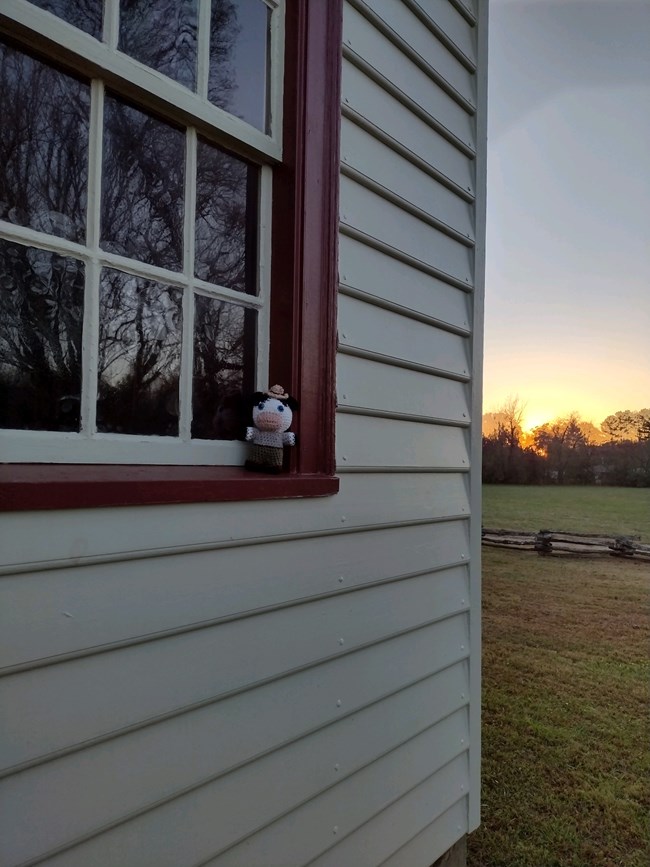 Ranger Cow sitting in a window at a historic home