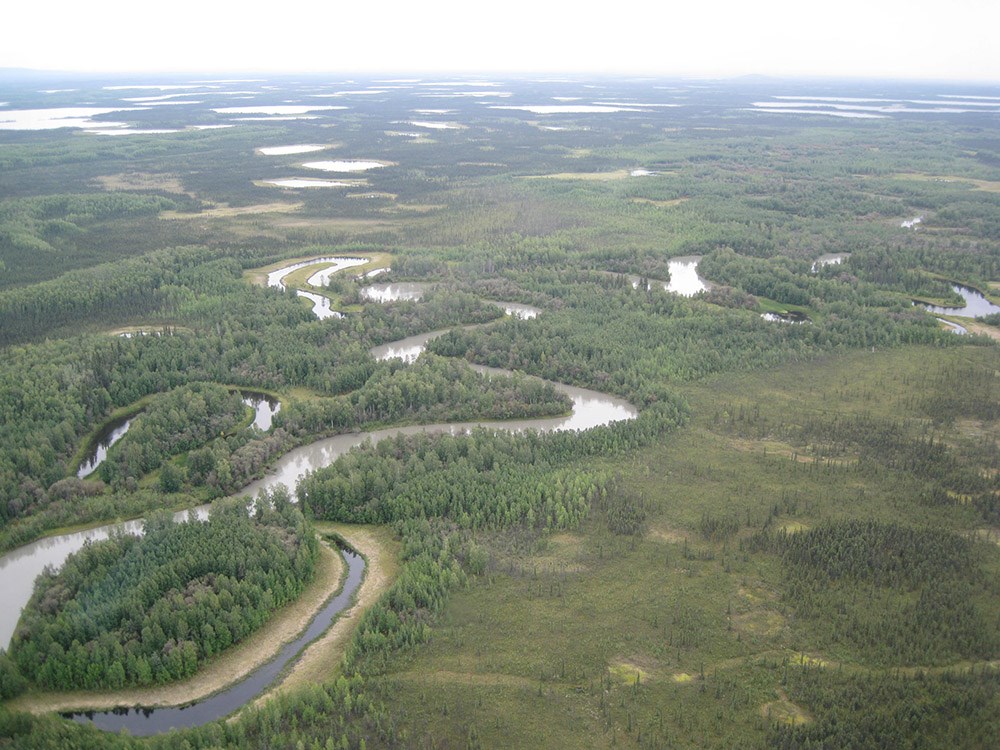 A winding river with many oxbows.