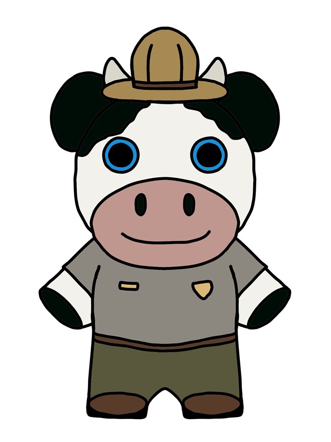 Ranger Cow Outline in Color