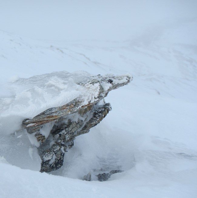 A ledge creates a refuge in the snow.