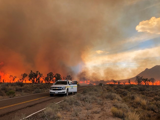 Vehicle stopped on road and view of silhouetted Joshua trees, fire, and a dark smoke column in background.