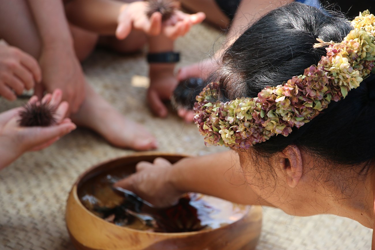 A woman in a head lei points wana (sea urchin) in a wooden bowl full of water while others hold wana in their hands