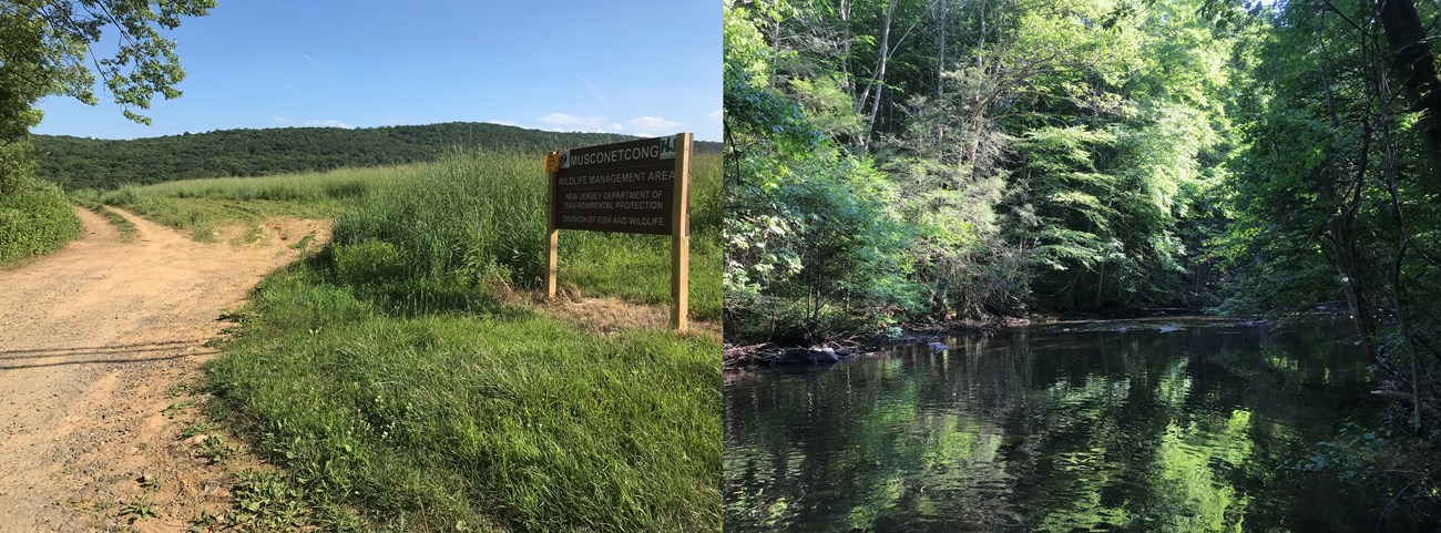 The Musconetcong River Wildlife Management Area photos courtesy of Alan Hunt and the Musconetcong Watershed Association.