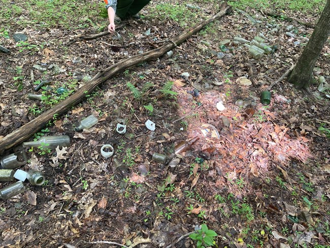 Historic artifact scatter found in wooded area during Archaeological Condition assessments