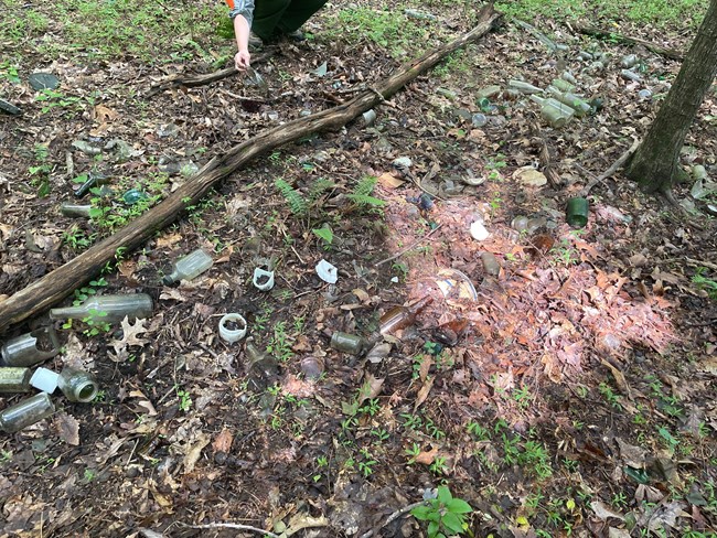 Historic artifact scatter found in wooded area during Archaeological Condition assessments Historic artifact scatter found in wooded area during Archaeological Condition assessments