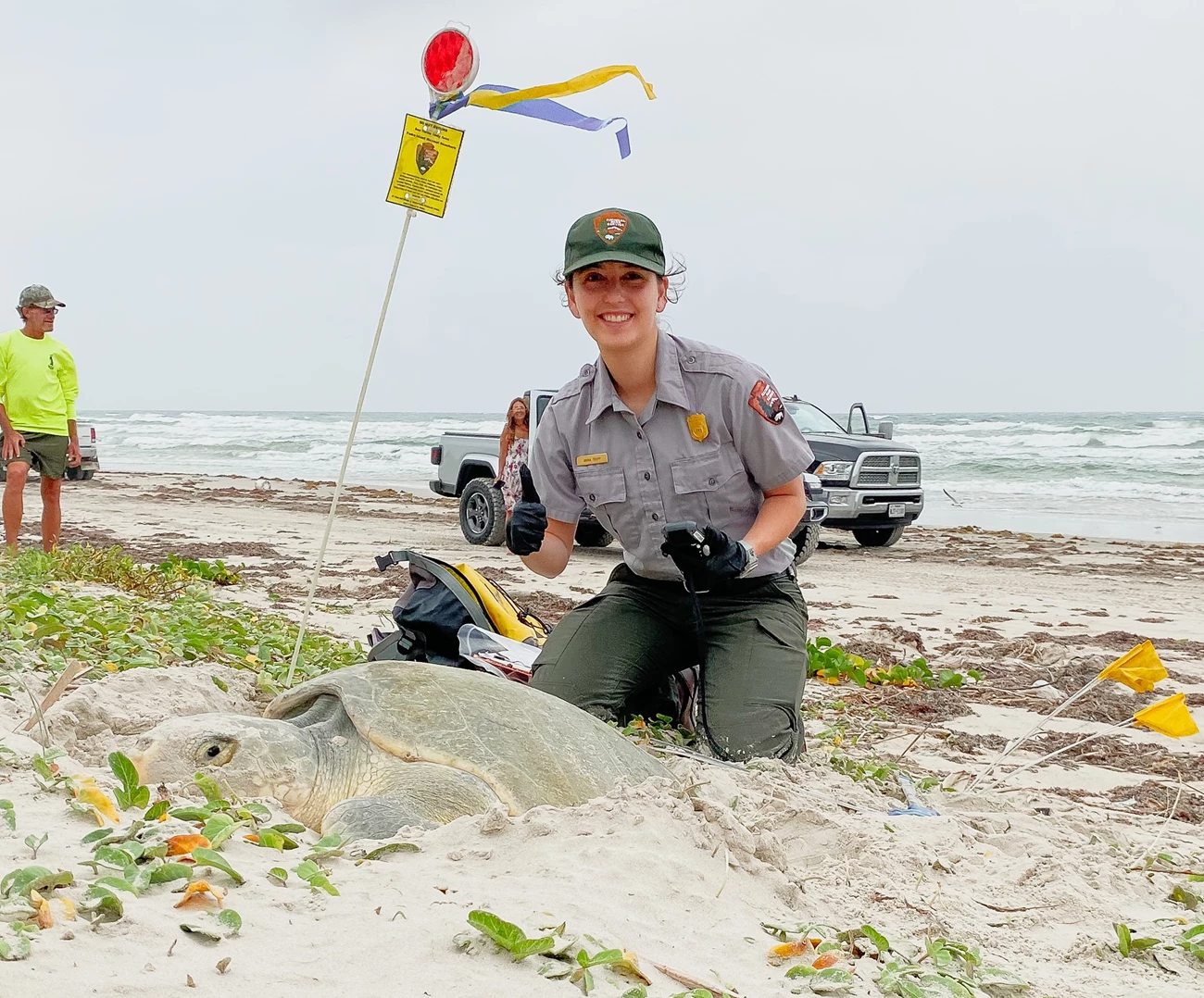 FirstTurtleEncounter_NPSPhoto Female biotechnician posing with thumbs up behind a nesting sea turtle at a public beach