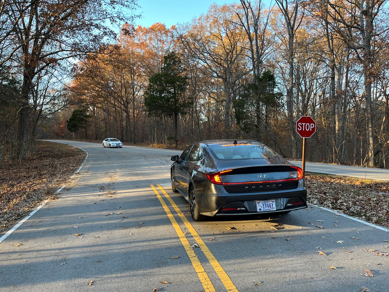 A gray car waits at a stop sign while a white car approaches in the distance on a roadway in a wooded area during late autumn.