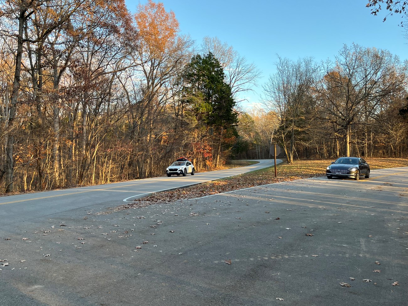 Two cars position parallel at an awkwardly angled roadway intersection in a wooded area.