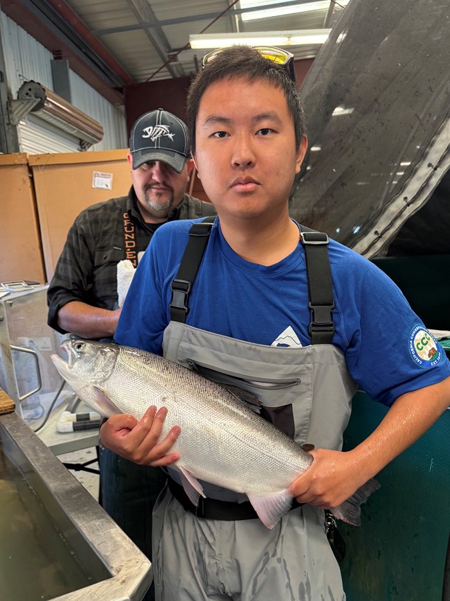 Jang in gray waders and a blue WSP shirt holding a large, silvery salmon in a hatchery.