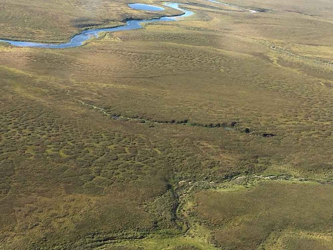Aerial view of Arctic streams in permafrost tundra.
