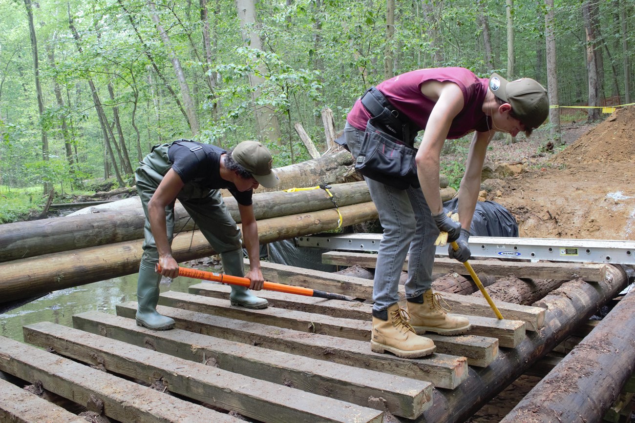 Student removing old logs Student removing old logs