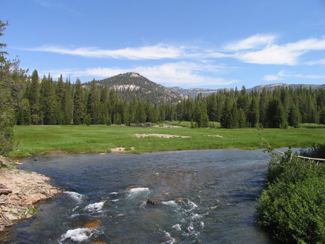 View of river from a bridge with green meadow and conifer forest in background.