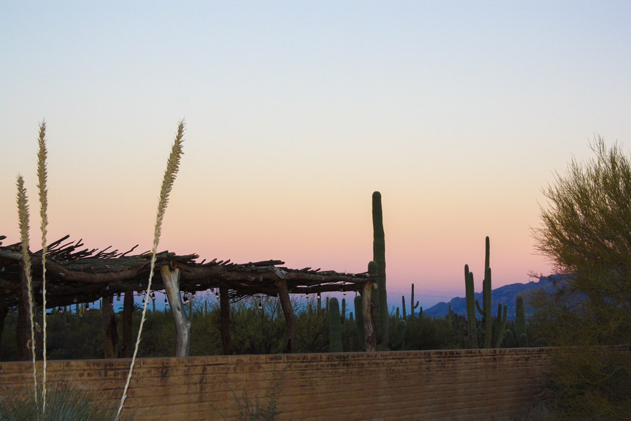 Desert Research Learning Center A yellow-pink sunrise glows in the sky behind blue mountains, desert plants, and a traditional wood ramada at the Desert Research Learning Center.