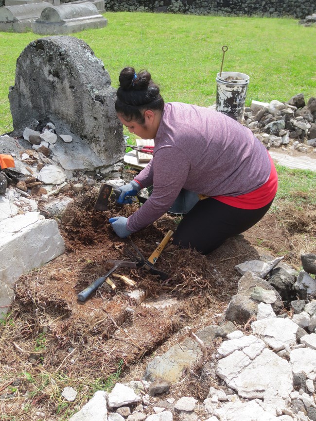 Removing invasive vegetation from a grave at Kalaupapa. Removing invasive vegetation from a grave at Kalaupapa.