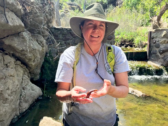 Katy standing in a stream, with a California newt crawling from one of her hands to the other.