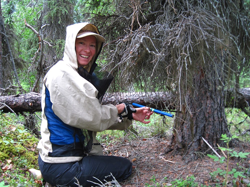 IMG_6571_coring SWAK_web A field technician takes a tree core.
